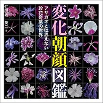 あさがおページ 紙シリーズ｜便箋 4柄入 朝顔手水柄(87103006)｜ミドリ