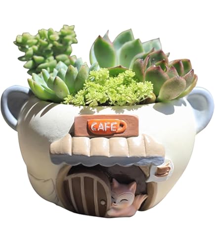 植木鉢　置物 Amazon.co.jp: 屋外植木鉢 インテリア うさぎ F 大型 植木鉢 おしゃれ