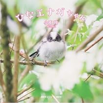 シマエナガちゃんの日々 - ぼくはここにいるよ - (ワニプラス) | 小原