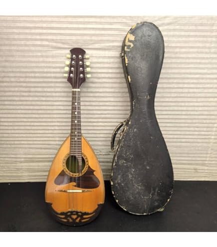 Amazon.co.jp: Suzuki Mandolin M-30 : Musical Instruments