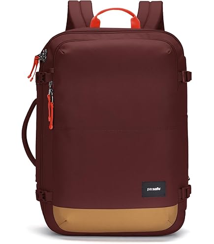 Amazon.co.jp: Pacsafeの盗難防止用バックパックとバッグプロテクター