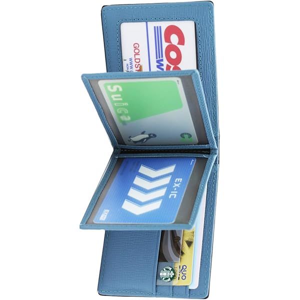 Amazon.co.jp: 冷泉麻子 ICカードケース パスケース 運転免許証 劇場版 