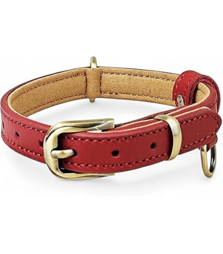 Tod’s 小型犬用　ブラウンレザー首輪　ゴールド金具 Tod's 小型犬用 ブラウンレザー首輪 ゴールド金具