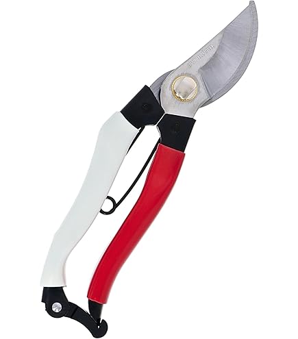 豊稔　光山作 HT-2556 両刃剪定鋏　剪定鋏　皮止　かぼちゃ鋏 ホウネンキハン HT2556 光山作 両刃剪定鋏【かぼちゃ鋏】 皮止