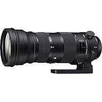 Amazon.co.jp: SIGMA 150-600mm F5-6.3 DG OS HSM | Sports S014 