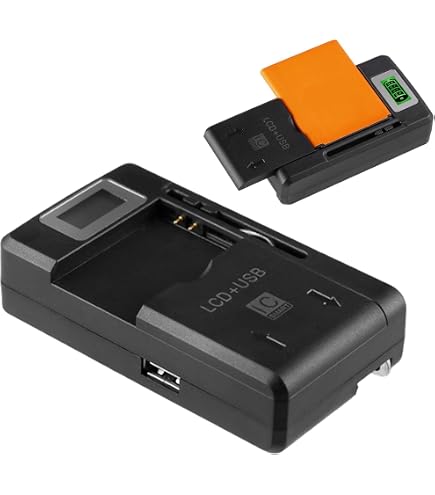 Caricabatterie Doppio PATONA USB-C Per Batteria BLN-1, Compatibile Con Olympus OMD E-M1, E-M5, Pen E-P5, Pen F