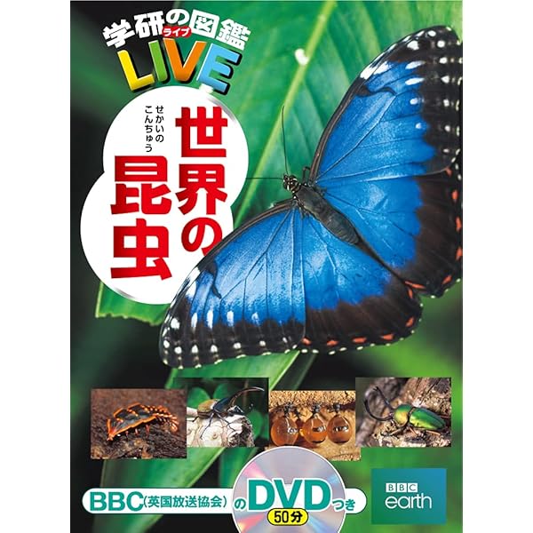 Amazon.co.jp: 増補改訂版・世界の昆虫 (ニューワイド学研の図鑑19 