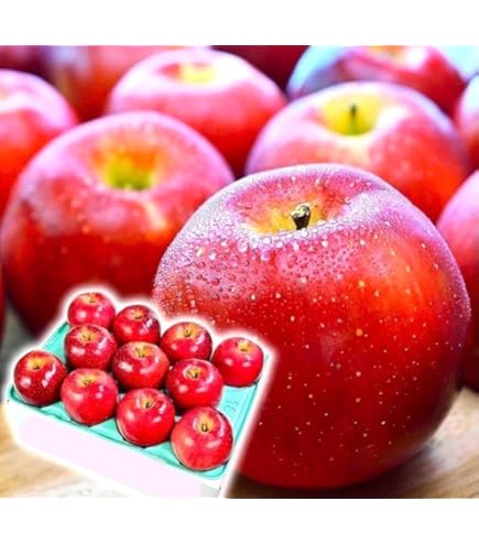 生 ライチ 妃子笑　2kg lychee_h2k_r.jpg