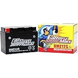バッテリーマン バイク用バッテリー YTZ12S 互換 BMZ12S 液入り充電済 FTZ12S CTZ12S STZ12S 密閉型MFバッテリー PS250
