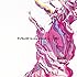 EVO+「Methuselah」