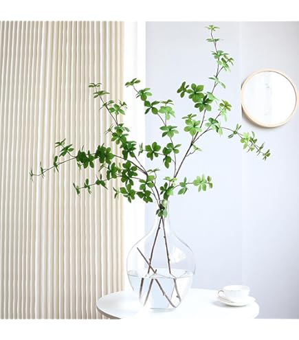 Amazon｜アセビ 枝もの 枝 3本セット 馬酔木 インテリア グリーン 生花