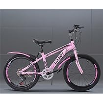 【千葉県市川市より出品・発送不可】22インチ　子供用　マウンテンバイク　中古 千葉県市川市より出品・発送不可】22インチ 子供用 マウンテン