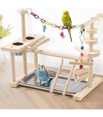 Amazon | バードアスレチック 鳥アスレチック 止まり木 パーチ