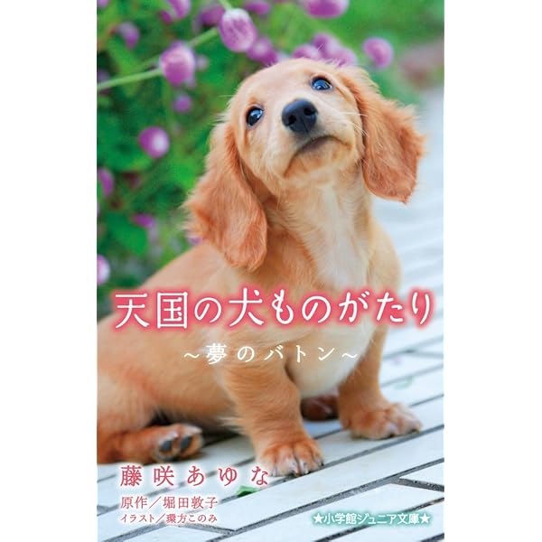 【中古】 天国の犬ものがたり～ずっと、ずっと、一緒に～/小学館/堀田敦子 中古】 天国の犬ものがたり ずっと一緒 （小学館ジュニア文庫