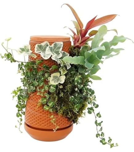 Amazon.co.jp: テラプランター、土壌なしでテラプランター表面に植物を