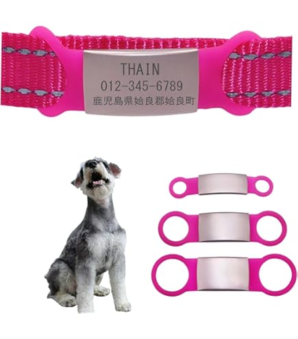 Amazon.co.jp: リッツカールトン モルディブ ノベルティ ネームタグ 2