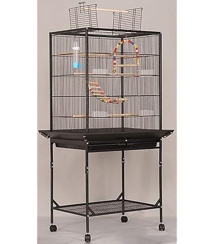 Amazon.co.jp: バードケージ インドハッカ 大型ステンレス