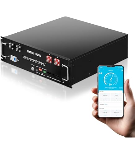 Amazon.co.jp: LiFePO4 バッテリー 48V 100AH リン酸鉄リチウム電池