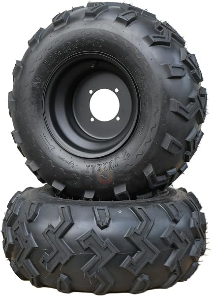 PHOENIX Tire Wheels, 10 Inches, 4 Holes, Left & Right 2 Pcs, 22 x 11-10, Super Big Size, Off-Road, ATVs, 4 Wheels, Buggy, Motorcycle, Universal - 1