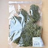 大地農園 アイスランドモス 40ｇ (モスグリーン)