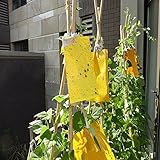 Amerzam 害虫捕獲粘着紙 虫とりシート 強力粘着捕虫シート 簡単取付 安全無害 250X400mm 10枚入り