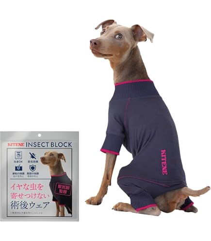 Amazon | イタグレ 服 メッシュロンパース ネオンカラー 蛍光色 春夏