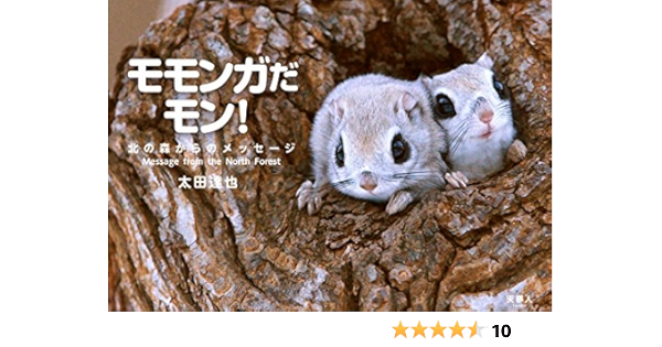 Amazon Co Jp モモンガだモン 北の森からのメッセージ 太田達也 本
