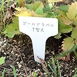 ゴールドラベル T型大5.2cm 50枚入り（白） 2袋セット[鉛筆で書ける植物用品種ラベル] ノーブランド品