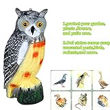 防鳥具ふくろう　鳥よけフクロウ　Zyurong　吊るしヒモの穴付き 庭の装飾　【怖がらせ駆除 防鳥防獣対策】