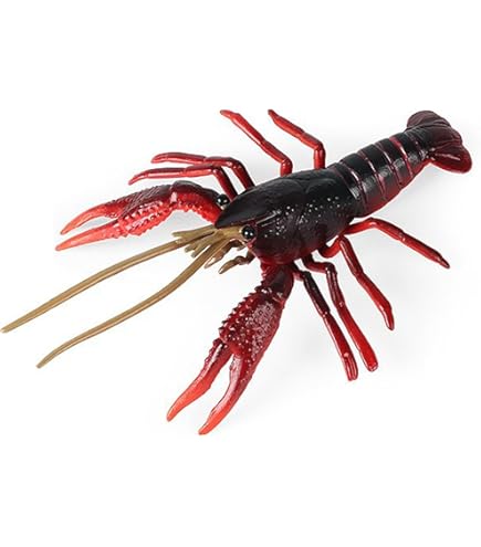 エビの仲間ザリガニ プロフィールチェック５本セット！ エビの仲間ザリガニ プロフィールチェック5本セット！