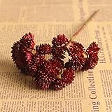 TOPmountain ガーデンジューシー フルーツ珍しい植物 草砂漠 人工植物の風景 フェイクフラワー 配置 ガーデンホームデコレーション