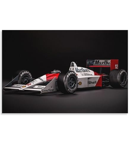 Amazon.co.jp: アイルトンセナF1レーシングチャンピオン-23 装飾 絵