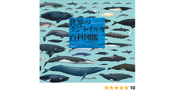 世界のクジラ イルカ百科図鑑 アナリサ ベルタ 山田格 黒輪篤嗣 本 通販 Amazon