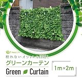 グリーンフェンス 日よけ グリーンカーテン 目隠し 100cm×200cm A