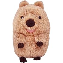 61IKOeFNy8L._AC_UL210_SR210,