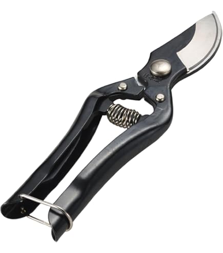 Amazon | 興三 剪定鋏B型 金止 200mm | 園芸用はさみ