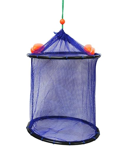 ポカリ 70730162.jpg