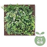 PRERIE(プレリエ) DEODORANT ARTIFICIAL GREEN 消臭アーティフィシャルグリーン (L) KH-61037