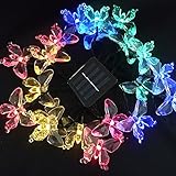 ノーブランド品 チョウ型ロープライト電飾20球4.8m 電飾 ソーラーLEDクリスマスイルミネーション ガーデンライト イルミネーションライト ストレートライト ウエッデイング ツリー マルチカラー 