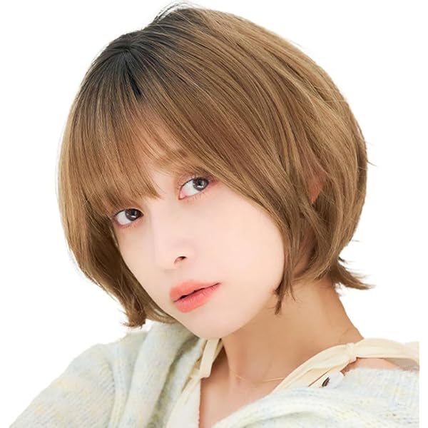 Amazon.co.jp: Linea-Storia(リネアストリア) 人毛MIX ウィッグ フル