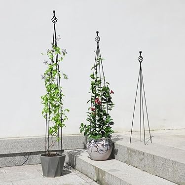 SO　ウッドプランター3段シェルフ　メープル✖️ブラック　30cm 6セット ブックシェルフ(TT003 57 MBR) | ニトリネット【公式】 家具 棚・シェルフ・ラック