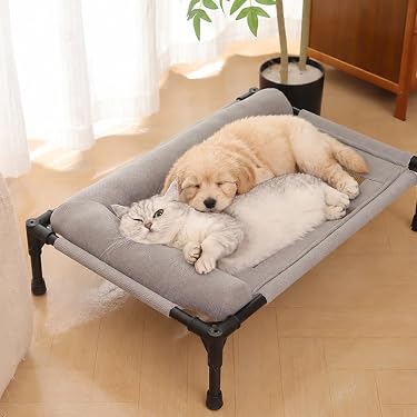 Amazon.co.jp 最新リリース: 犬用ベッド・クッション の新着ランキング
