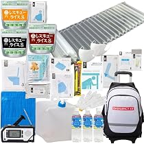 Amazon.co.jp: 岸田産業 防災リュック キャリー付き防災セット【1人用