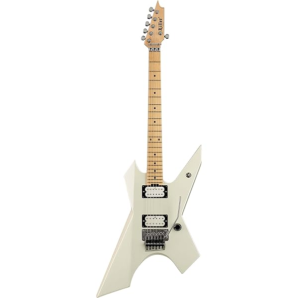 Amazon.co.jp: EDWARDS E-RS-145/R 高崎 晃モデル ランダムスター
