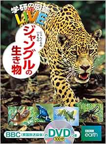 ジャングルの生き物 学研の図鑑ｌｉｖｅ ライブ 今泉忠明 湯本貴和 本 通販 Amazon