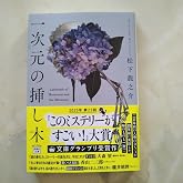 Jp 一次元の挿し木 宝島社文庫 『このミス』大賞シリーズ 松下 龍之介 本 