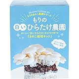 森のきのこ倶楽部 もりの白いひらたけ農園 栽培キット (白ひらたけ栽培/家庭菜園) 育てやすい きのこ ひらたけ 菌床 自由研究 (栽培説明書付き)