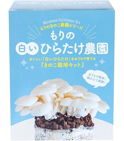 Amazon｜森のきのこ倶楽部 しいたけ種駒 森290号 にく丸 (100駒×2箱