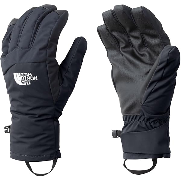 Amazon | [THE NORTH FACE] GTX Mercury Glove ブラック S | 手袋 通販