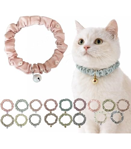 Amazon.co.jp: 黄金色の猫 プラクルアン ゴールデンキャット : ペット用品